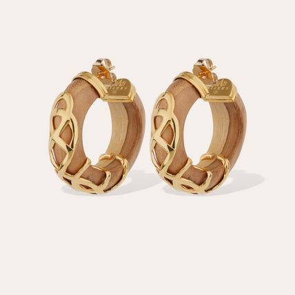 Abalone hoop Earrings - Wood