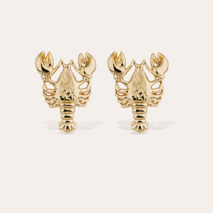 stud earrings Homarea