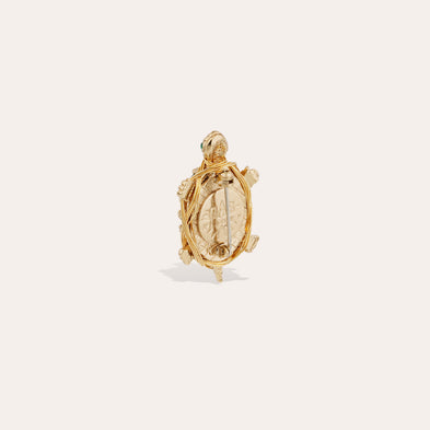 Broche Tortue