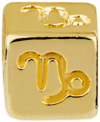 capricorne-or